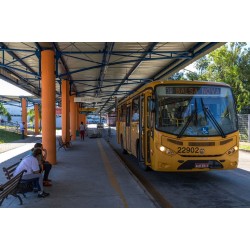 Linhas de ônibus recebem reforço em seus atendimentos